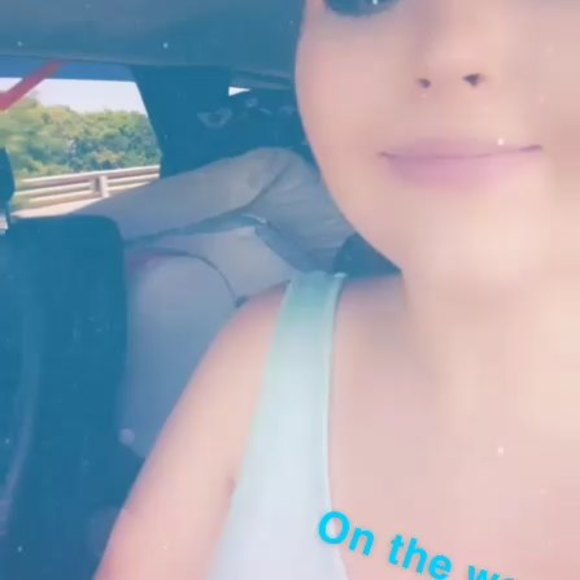 Meet your Posher, Tabby - Picture 1 of 1